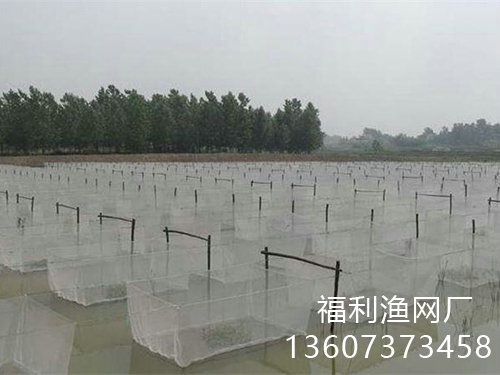养殖网箱