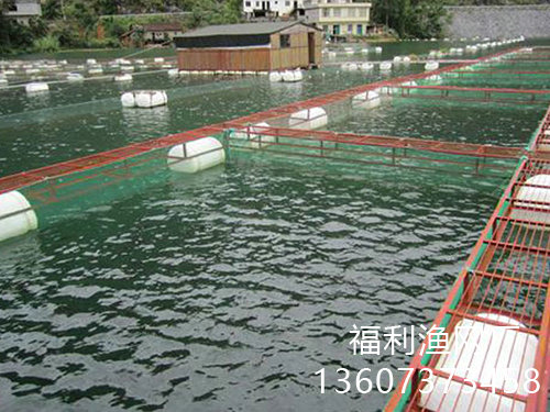 养殖网