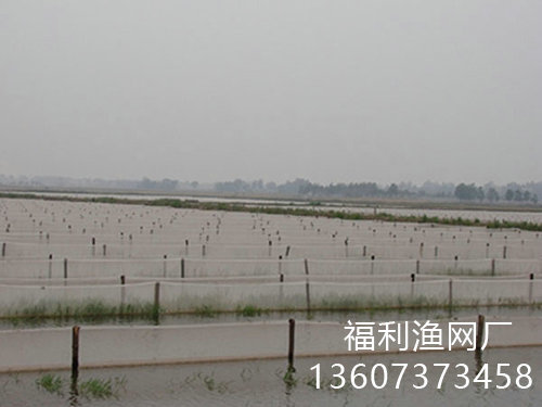 水蛭养殖网