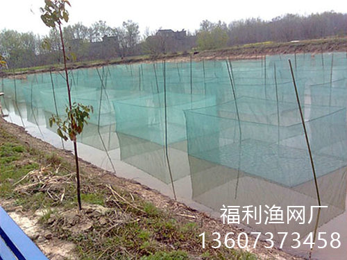 泥鳅网,泥鳅防逃网