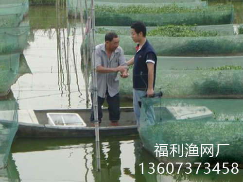 泥鳅网箱