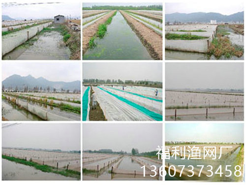 蚂蝗养殖网箱
