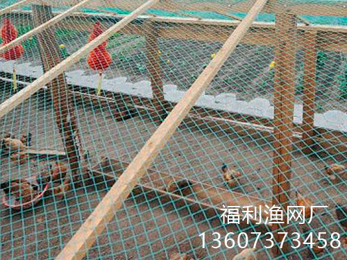 遮阳网