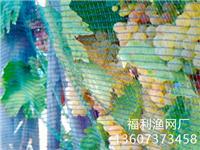养殖网