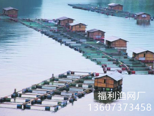 网箱