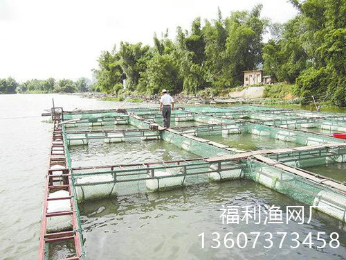 网箱