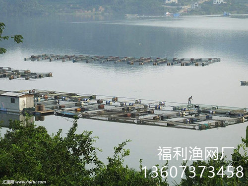 网箱