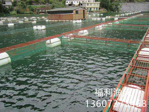 客户案例