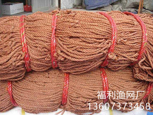 客户案例 客户案例
