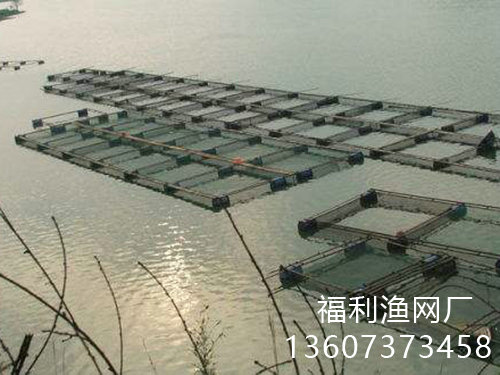 客户案例