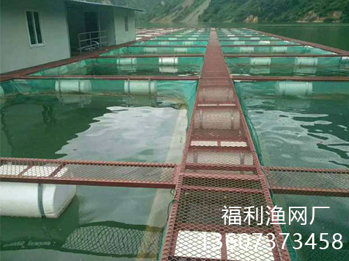 网箱案例