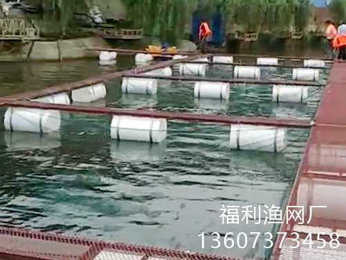 网箱案例